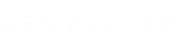 Beneloom Fashion Language for Cars